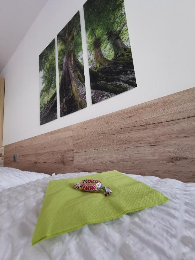 Appartement Mit Doppelbett Oder 2 Einzelbetten Bad Aussee Exterior foto