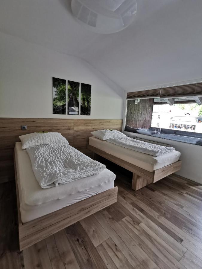 Appartement Mit Doppelbett Oder 2 Einzelbetten Bad Aussee Exterior foto