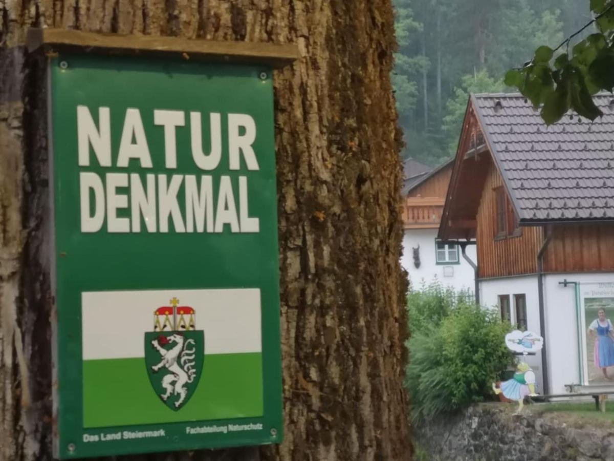 Appartement Mit Doppelbett Oder 2 Einzelbetten Bad Aussee Exterior foto